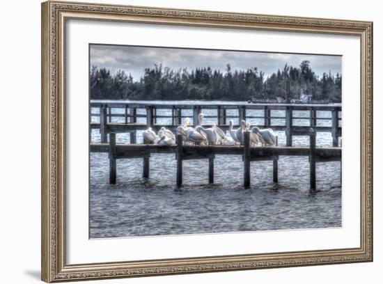 White Pelicans and Piers-Robert Goldwitz-Framed Photographic Print