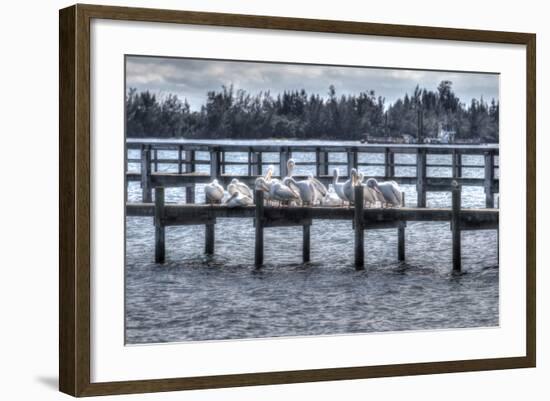 White Pelicans and Piers-Robert Goldwitz-Framed Photographic Print