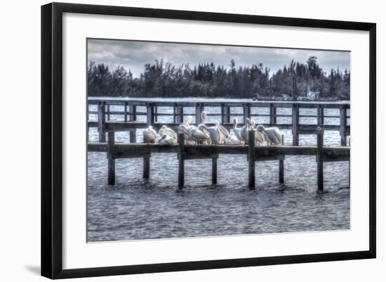 White Pelicans and Piers-Robert Goldwitz-Framed Photographic Print