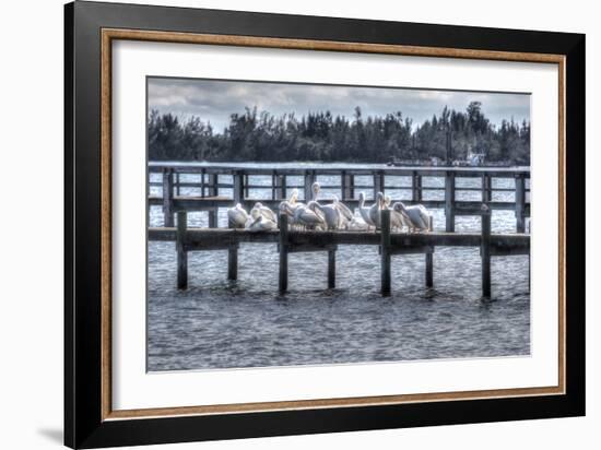 White Pelicans and Piers-Robert Goldwitz-Framed Photographic Print