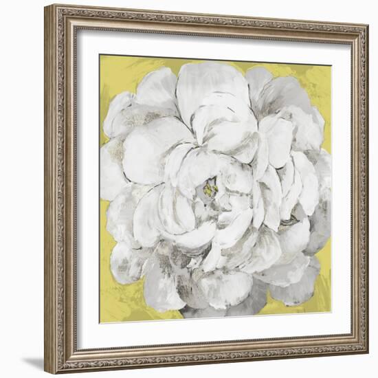 White Peonia Yellow Version-Asia Jensen-Framed Art Print