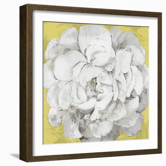 White Peonia Yellow Version-Asia Jensen-Framed Art Print