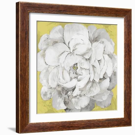 White Peonia Yellow Version-Asia Jensen-Framed Art Print