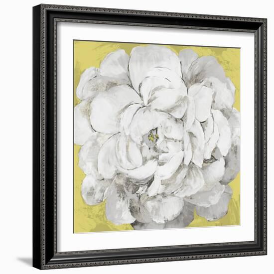 White Peonia Yellow Version-Asia Jensen-Framed Art Print