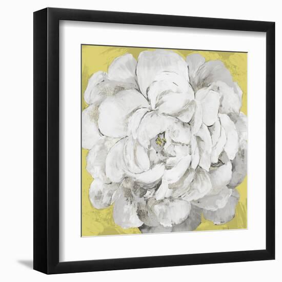 White Peonia Yellow Version-Asia Jensen-Framed Art Print