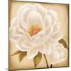 White Peonies I-Vivien Rhyan-Mounted Art Print