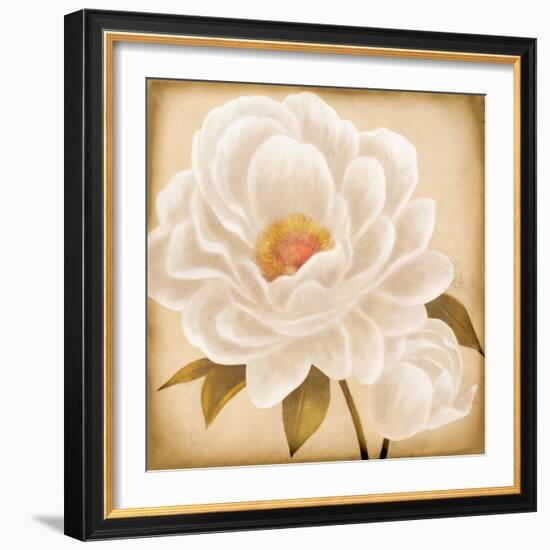 White Peonies I-Vivien Rhyan-Framed Art Print