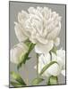 White Peonies II-null-Mounted Art Print