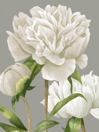 Bookstack Topped By Vase With White Peony Art: Canvas Prints