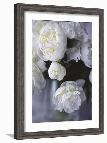 White Peonies in a Vase-Anna Miller-Framed Photographic Print