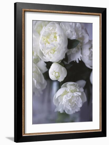 White Peonies in a Vase-Anna Miller-Framed Photographic Print