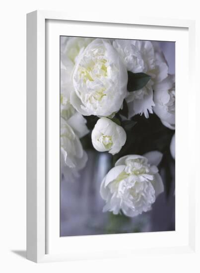 White Peonies in a Vase-Anna Miller-Framed Photographic Print