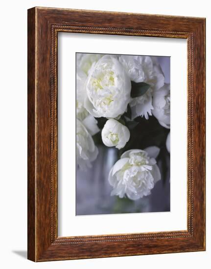 White Peonies in a Vase-Anna Miller-Framed Photographic Print