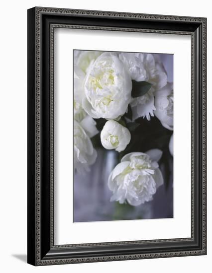 White Peonies in a Vase-Anna Miller-Framed Photographic Print