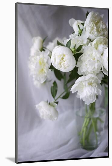 White Peonies in a Vase-Anna Miller-Mounted Photographic Print