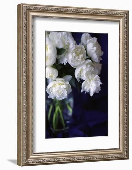 White Peonies in a Vase-Anna Miller-Framed Photographic Print