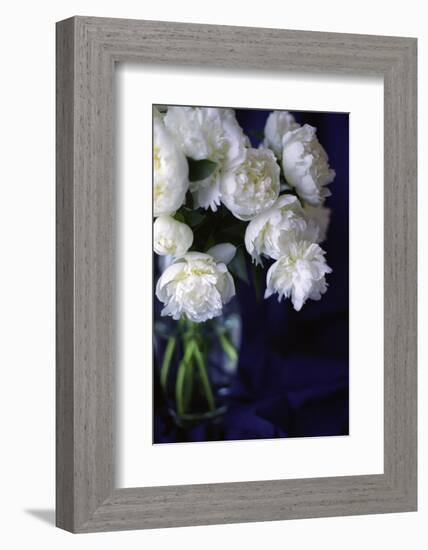 White Peonies in a Vase-Anna Miller-Framed Photographic Print