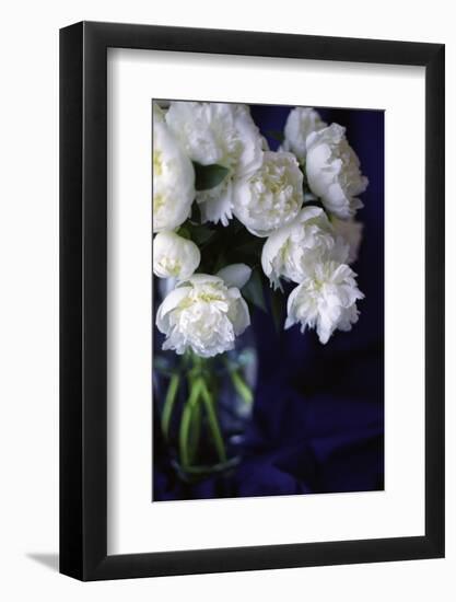 White Peonies in a Vase-Anna Miller-Framed Photographic Print