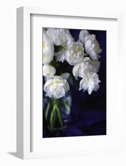 White Peonies in a Vase-Anna Miller-Framed Photographic Print