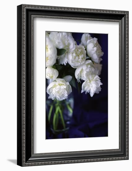 White Peonies in a Vase-Anna Miller-Framed Photographic Print