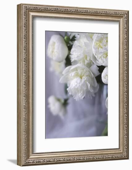 White Peonies in a Vase-Anna Miller-Framed Photographic Print