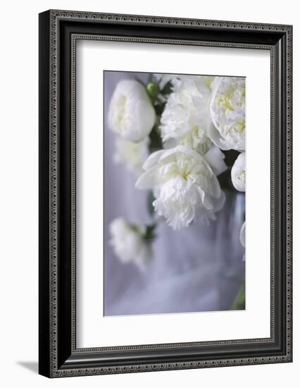 White Peonies in a Vase-Anna Miller-Framed Photographic Print