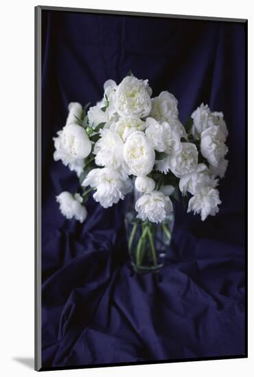White Peonies in a Vase-Anna Miller-Mounted Photographic Print