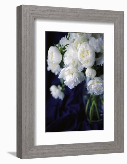 White Peonies in a Vase-Anna Miller-Framed Photographic Print