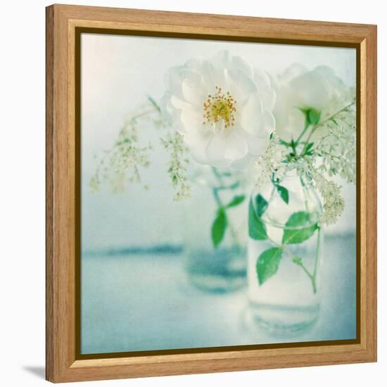 White Peonies-Sarah Gardner-Framed Premier Image Canvas