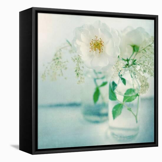 White Peonies-Sarah Gardner-Framed Premier Image Canvas