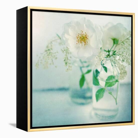 White Peonies-Sarah Gardner-Framed Premier Image Canvas