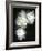 White Peonies-Anna Miller-Framed Photographic Print