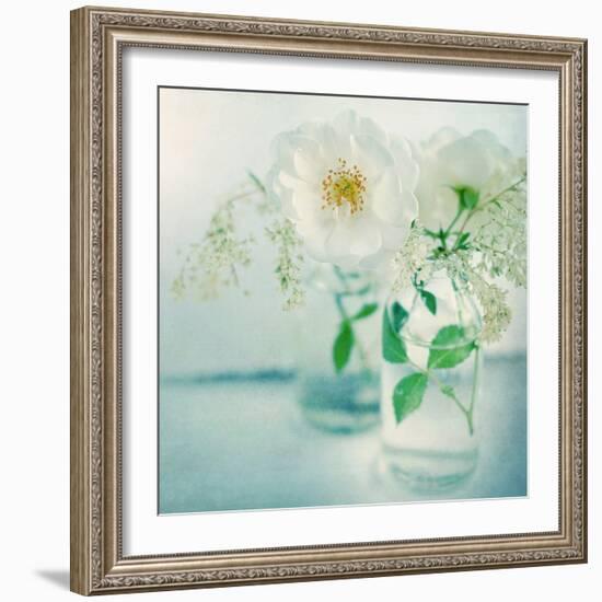 White Peonies-Sarah Gardner-Framed Photographic Print