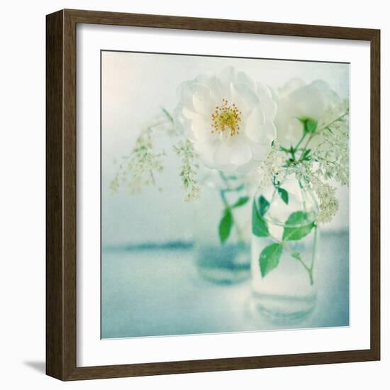 White Peonies-Sarah Gardner-Framed Photographic Print