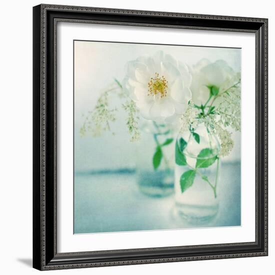 White Peonies-Sarah Gardner-Framed Photographic Print