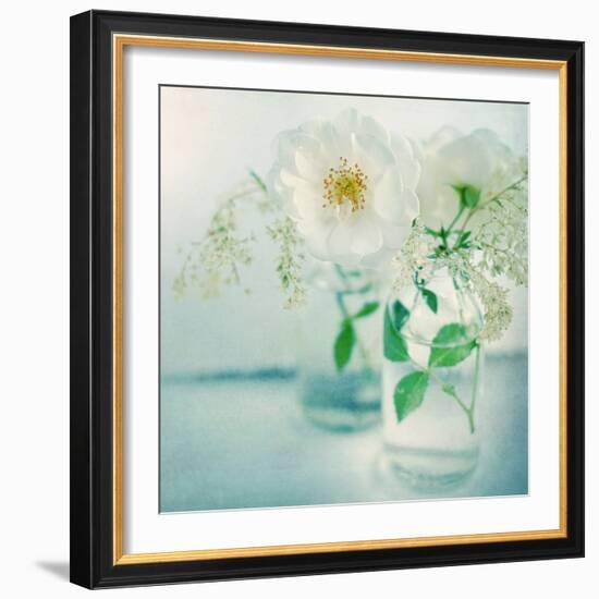 White Peonies-Sarah Gardner-Framed Photographic Print