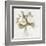 White Peonies-Kimberly Allen-Framed Art Print