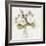 White Peonies-Kimberly Allen-Framed Art Print