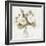 White Peonies-Kimberly Allen-Framed Art Print