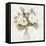 White Peonies-Kimberly Allen-Framed Stretched Canvas