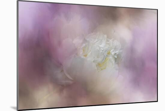 White Peony 2-Jai Johnson-Mounted Giclee Print