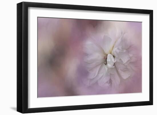 White Peony 3-Jai Johnson-Framed Giclee Print