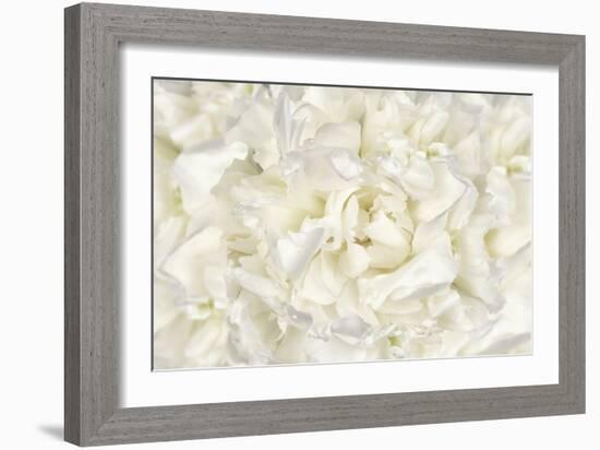 White Peony Flower-Cora Niele-Framed Photographic Print