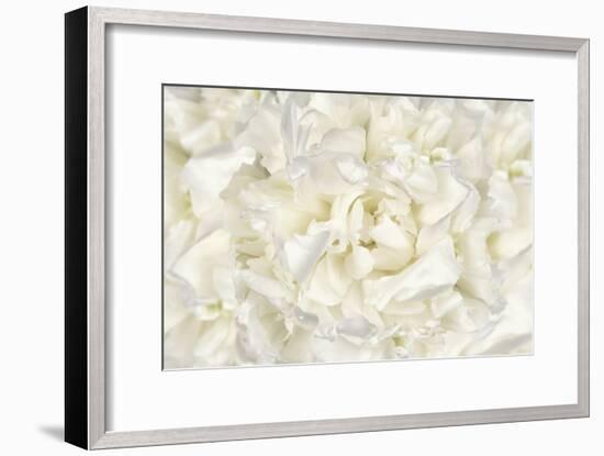 White Peony Flower-Cora Niele-Framed Photographic Print