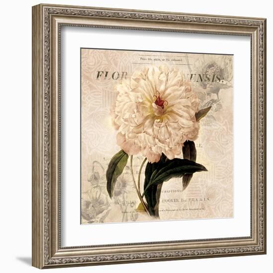 White Peony I-Carol Robinson-Framed Art Print