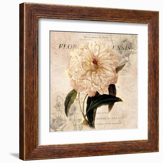 White Peony I-Carol Robinson-Framed Art Print