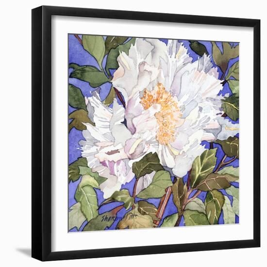 White Peony-Sharon Pitts-Framed Giclee Print