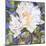 White Peony-Sharon Pitts-Mounted Giclee Print