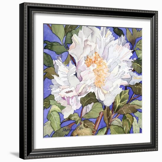 White Peony-Sharon Pitts-Framed Giclee Print