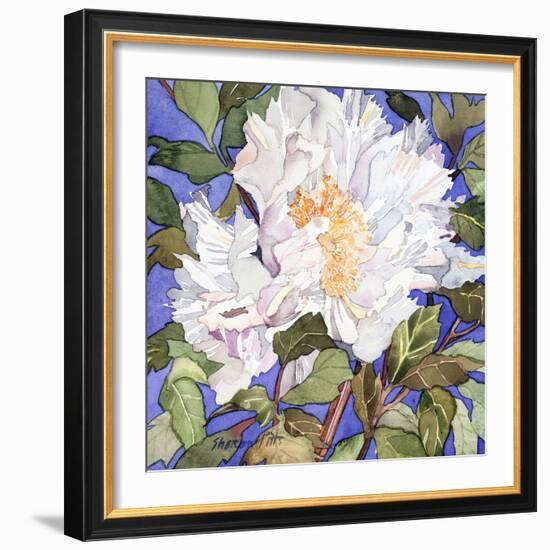 White Peony-Sharon Pitts-Framed Giclee Print